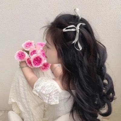 希特勒：恶魔的崛起